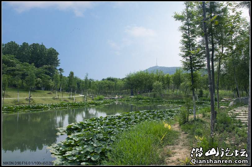 关于蜀山的若干记忆,若有若无 - 天柱摄影 - 潜山