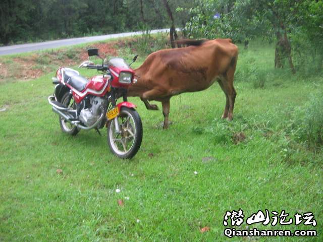 Ƭ 034.jpg