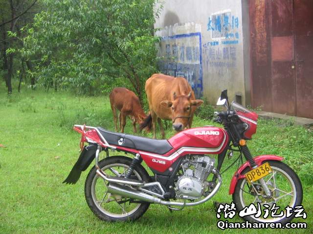 Ƭ 027.jpg