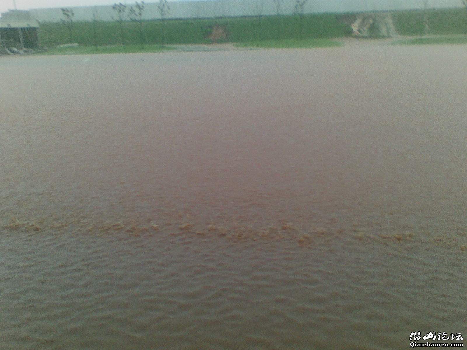 20100715(003).jpg