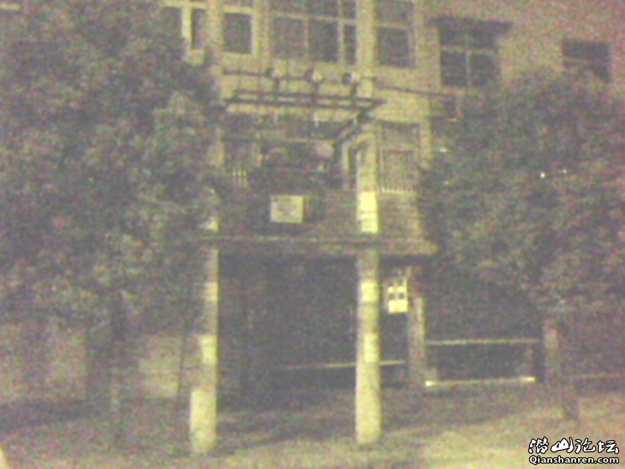 IMG0229A.jpg