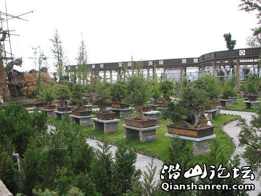 Ƭ 047.jpg