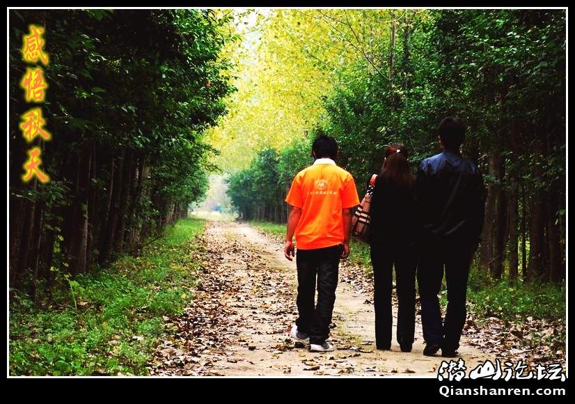DSC_4800_conew1.jpg