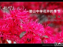 Ǳɽѧ ļ2---Щ