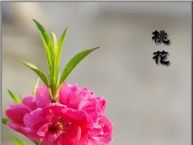 һ