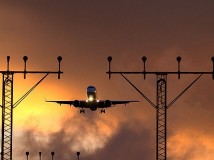 FLY! FLY!
