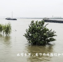 长江安庆城区水位