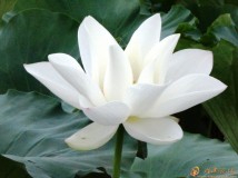 ֮